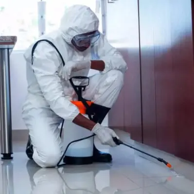 A-LECO MANAGEMENT Kft. 